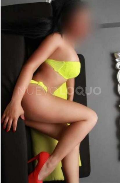 NuevoLoquo1