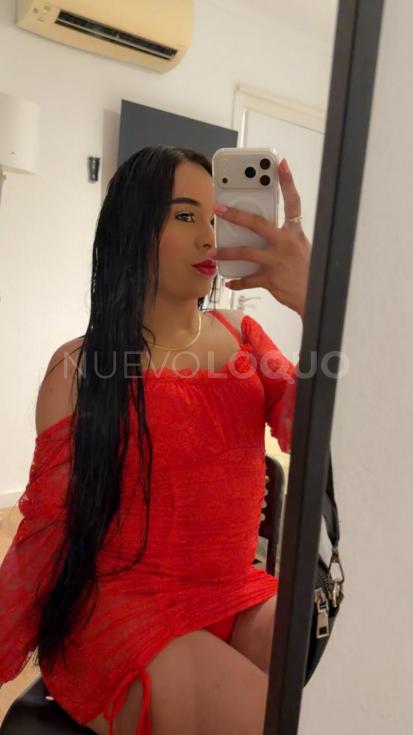 NuevoLoquo1
