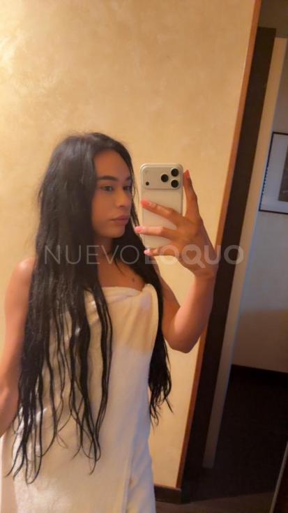 contactos pasion