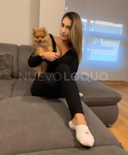 NuevoLoquo0