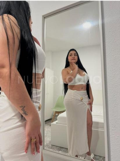 NuevoLoquo3