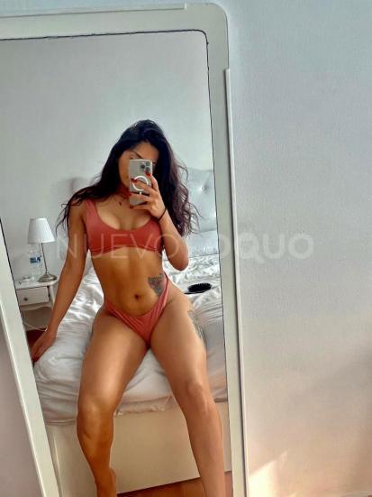 NuevoLoquo3