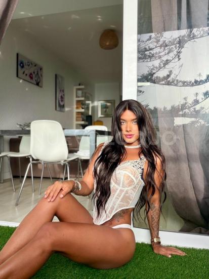NuevoLoquo1