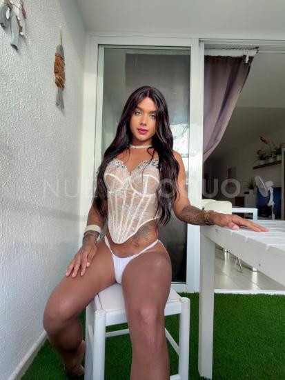 NuevoLoquo4