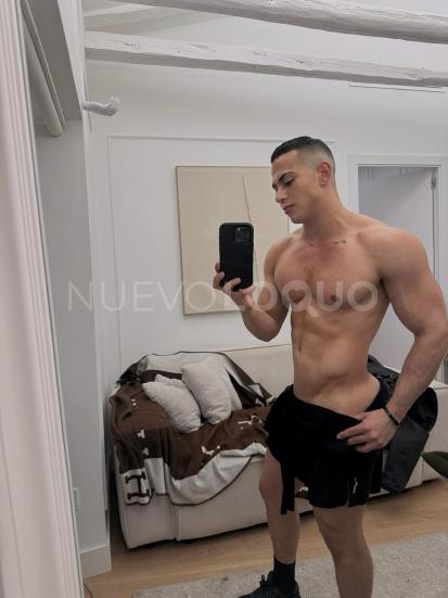 NuevoLoquo3