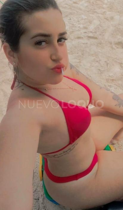 NuevoLoquo4