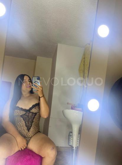 NuevoLoquo2