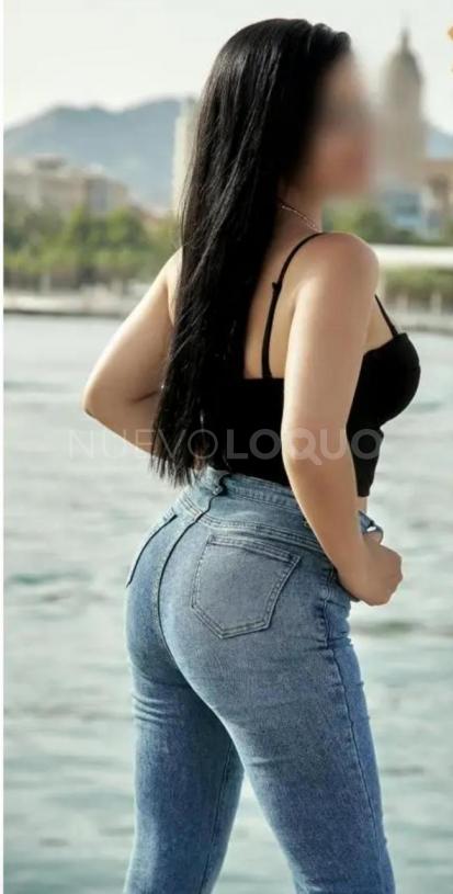 NuevoLoquo2