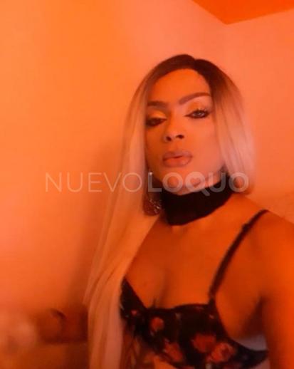 NuevoLoquo0