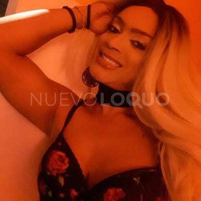 NuevoLoquo1