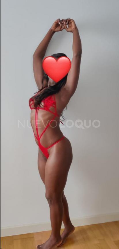 NuevoLoquo2