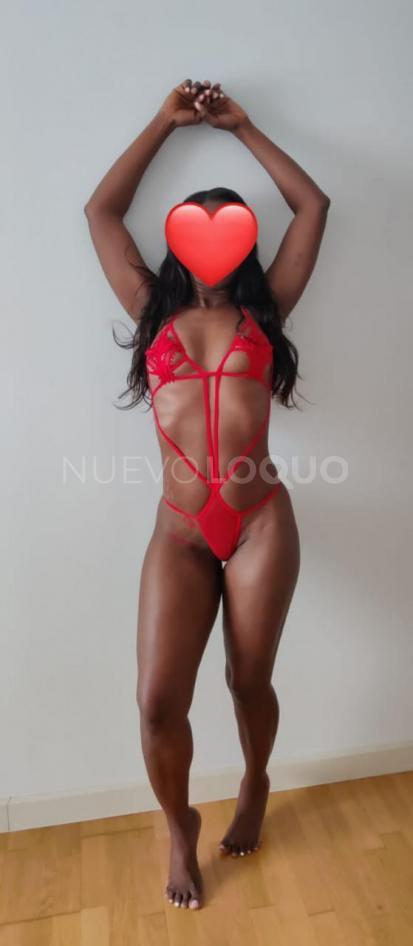 NuevoLoquo3