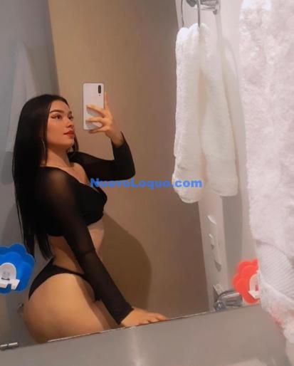 NuevoLoquo3
