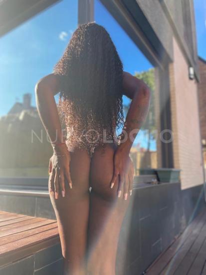 NuevoLoquo2