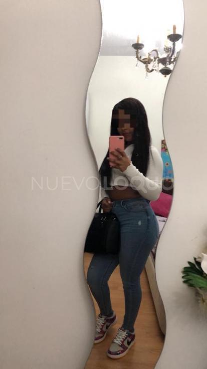 NuevoLoquo3