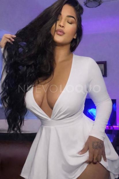 NuevoLoquo3