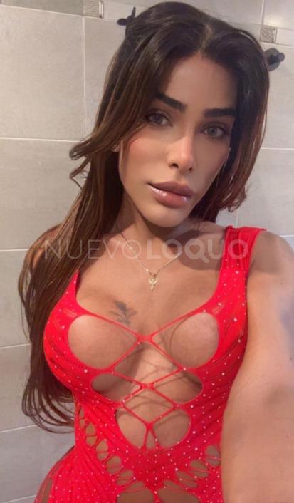 NuevoLoquo3