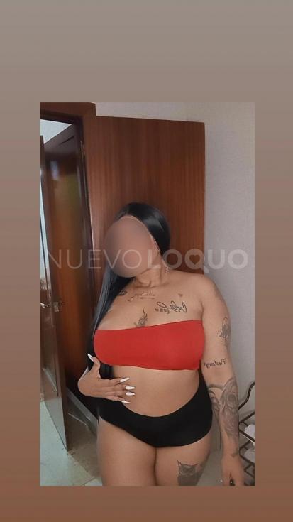 NuevoLoquo2