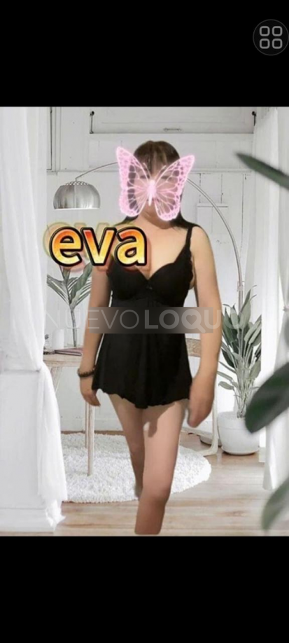 NuevoLoquo1