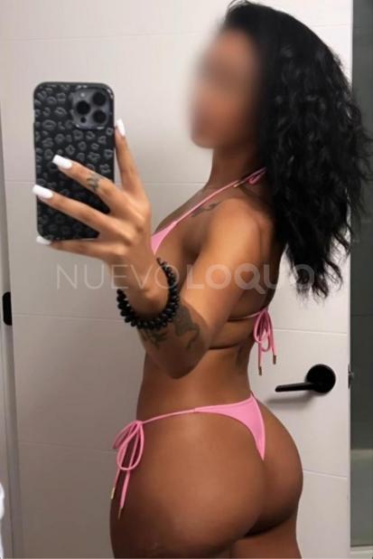 NuevoLoquo1