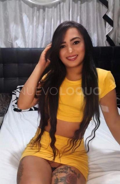 NuevoLoquo2