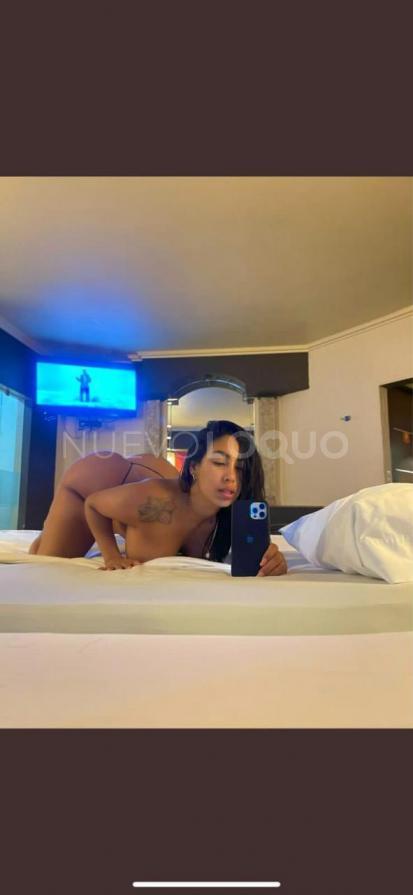 NuevoLoquo1