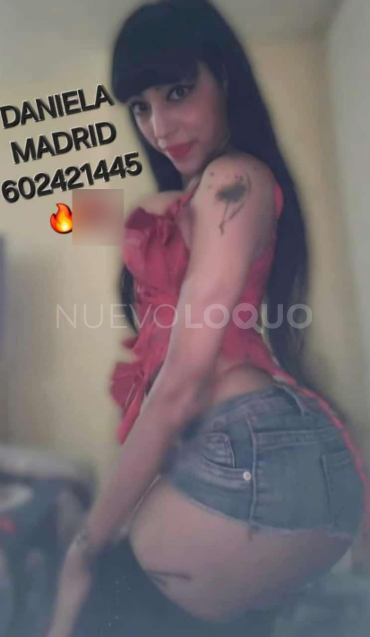 NuevoLoquo3