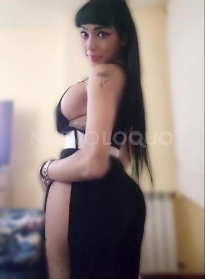 NuevoLoquo4