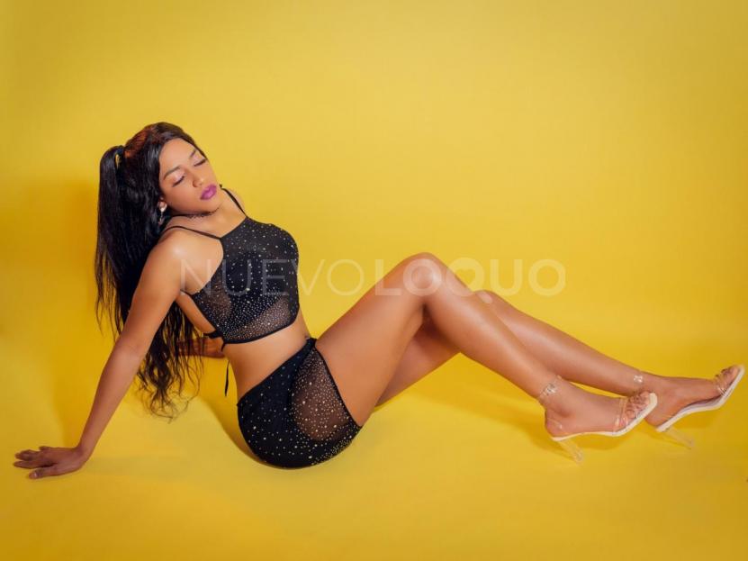 NuevoLoquo3