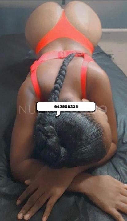 NuevoLoquo3