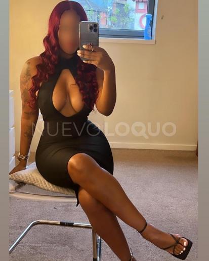 NuevoLoquo2