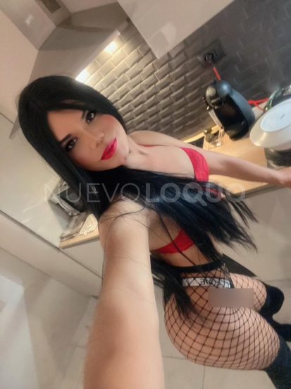 NuevoLoquo3