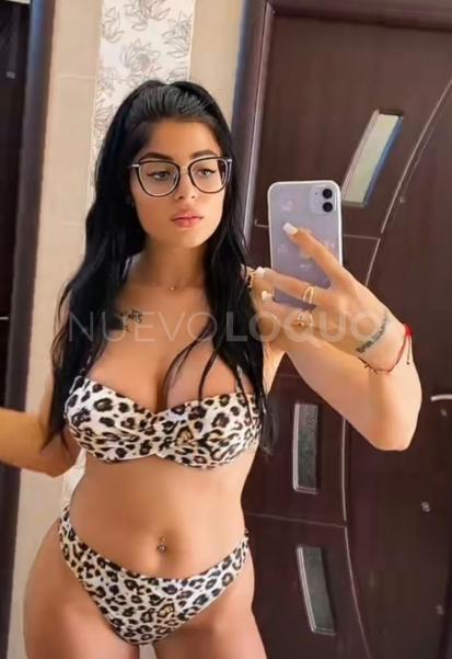 NuevoLoquo3