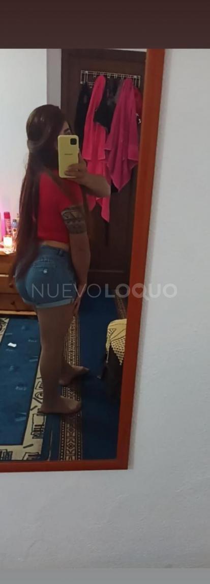 NuevoLoquo2