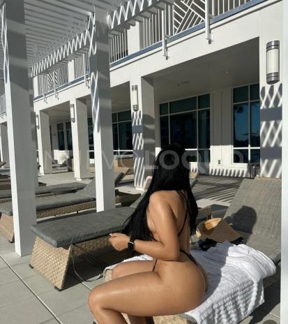 NuevoLoquo3