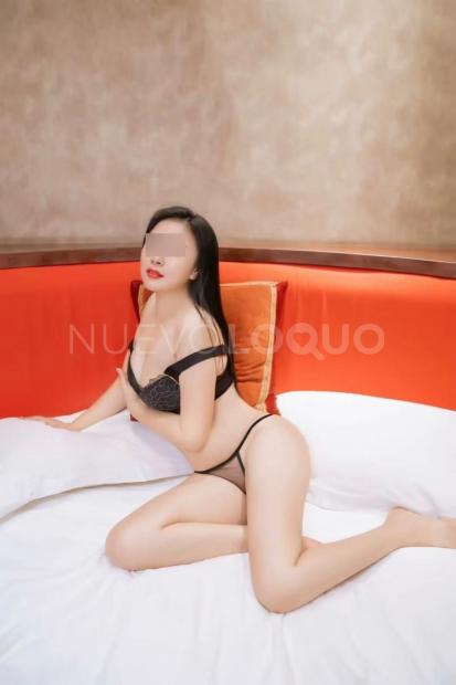 NuevoLoquo3