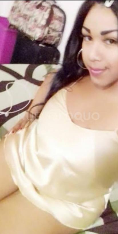 NuevoLoquo3