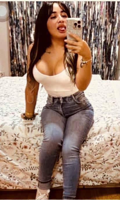 NuevoLoquo3