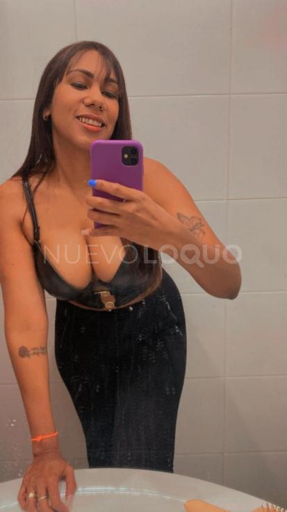 NuevoLoquo4