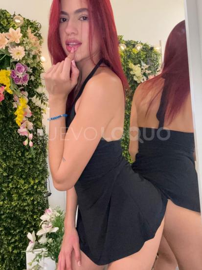 NuevoLoquo3