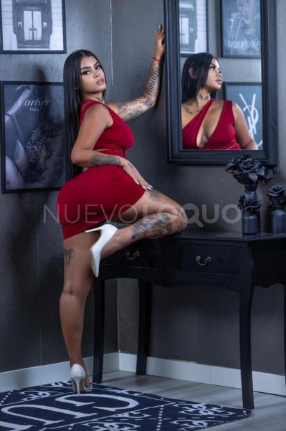 NuevoLoquo3