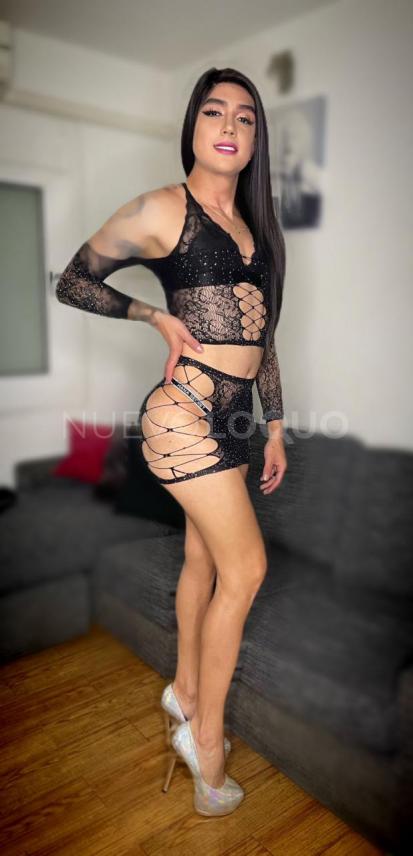 NuevoLoquo3