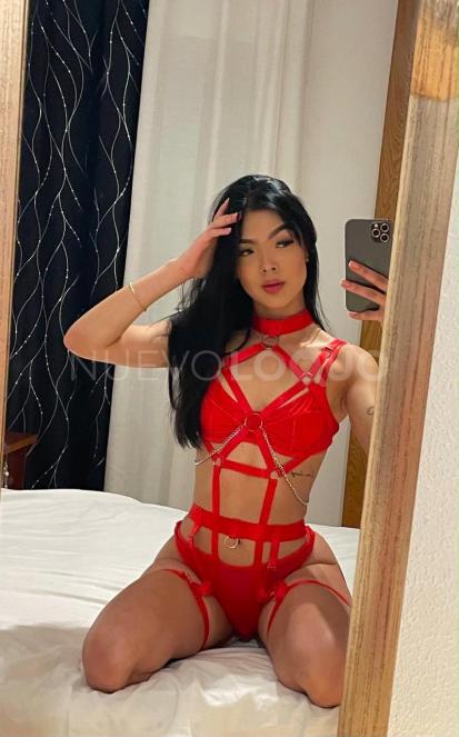 NuevoLoquo1