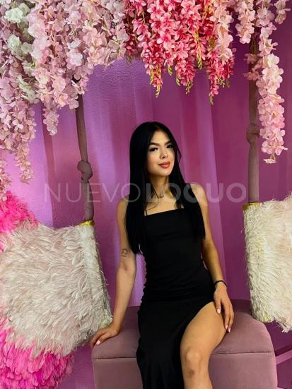 NuevoLoquo3