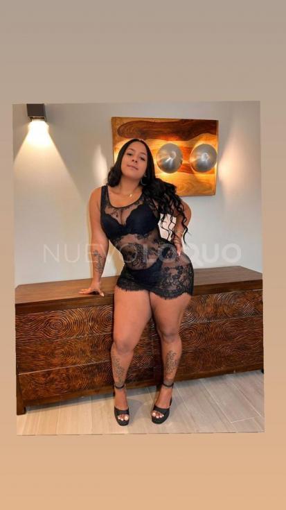 NuevoLoquo2