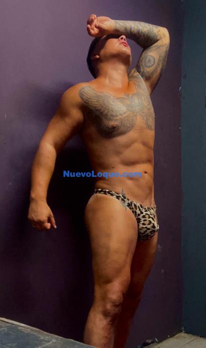 NuevoLoquo1