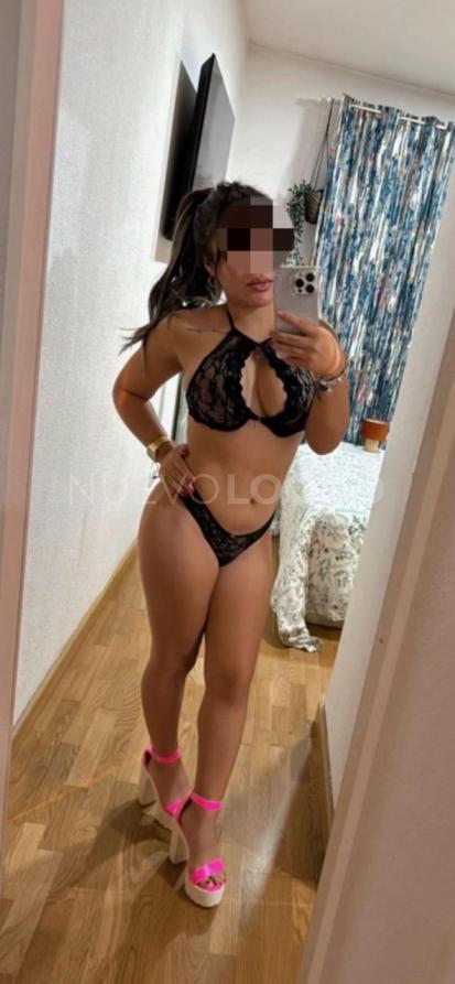 NuevoLoquo3