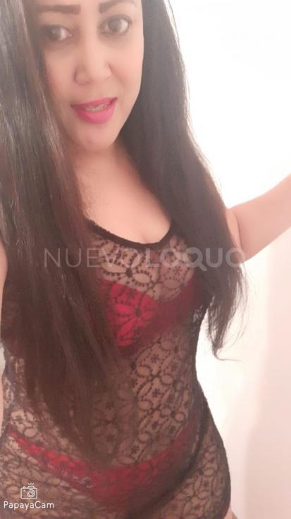 NuevoLoquo1