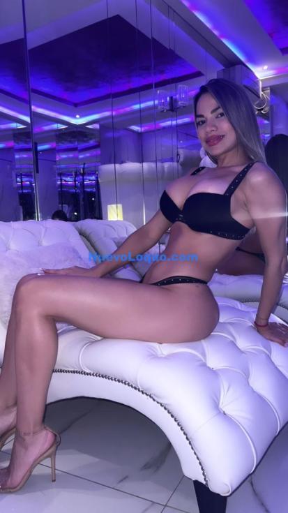NuevoLoquo3
