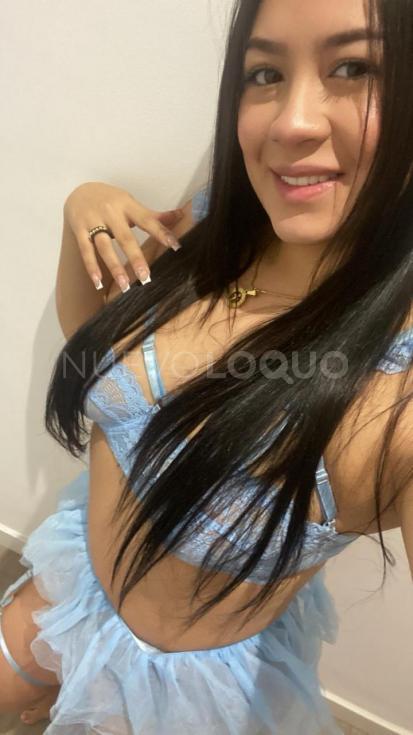 NuevoLoquo3